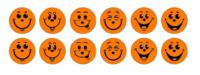 Budget Beater sticker fluorescent orange