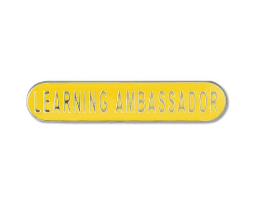 4074