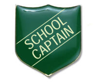 Enamel Badges