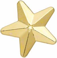 Gold 3D Star Badges Big Box