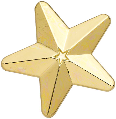 Gold 3D Star Badges Big Box