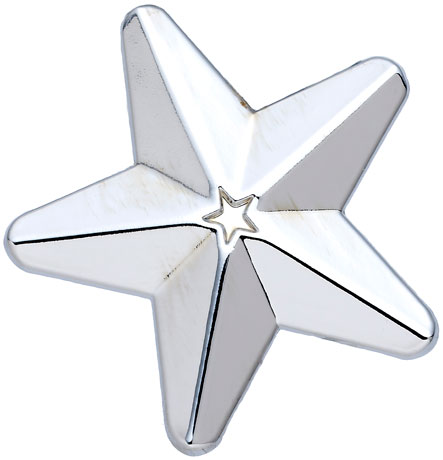 Silver 3D Star Badges Big Box