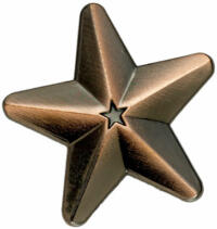 Bronze 3D Star Badges Big Box