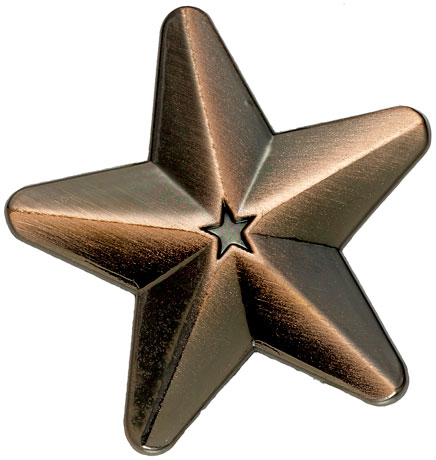 Bronze 3D Star Badges Big Box