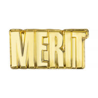 Merit Enamel Badges (Gold)