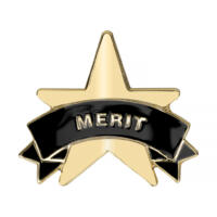 Gold Merit Star Badges Big Box