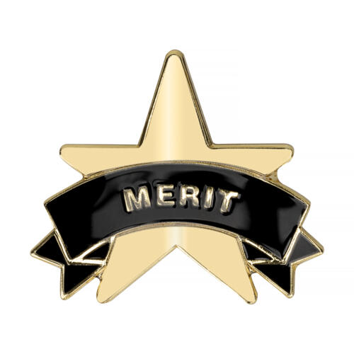 Gold Merit Star Badges Big Box