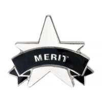 Silver Merit Star Badges Big Box