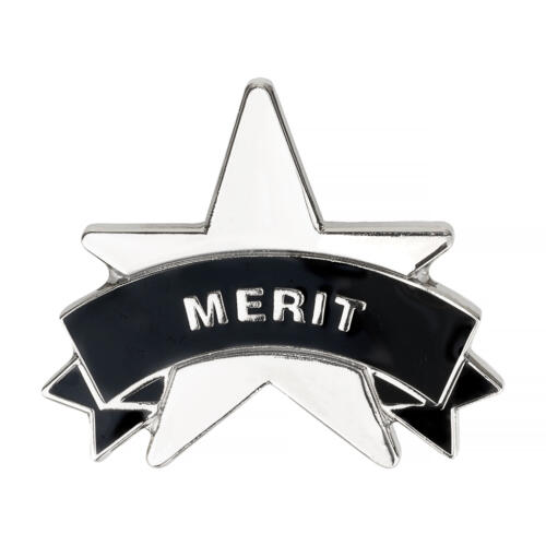 Silver Merit Star Badges Big Box