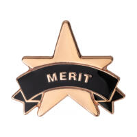 Bronze Merit Star Badges Big Box