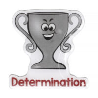 Determination Shaped Enamel Badges