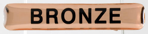 Bronze Bar Badges Big Box