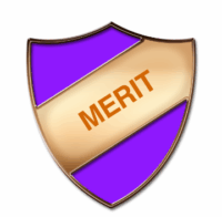 Merit Enamel badge (pack of 5)