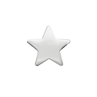 Silver Polished Star badge (pack of 5)