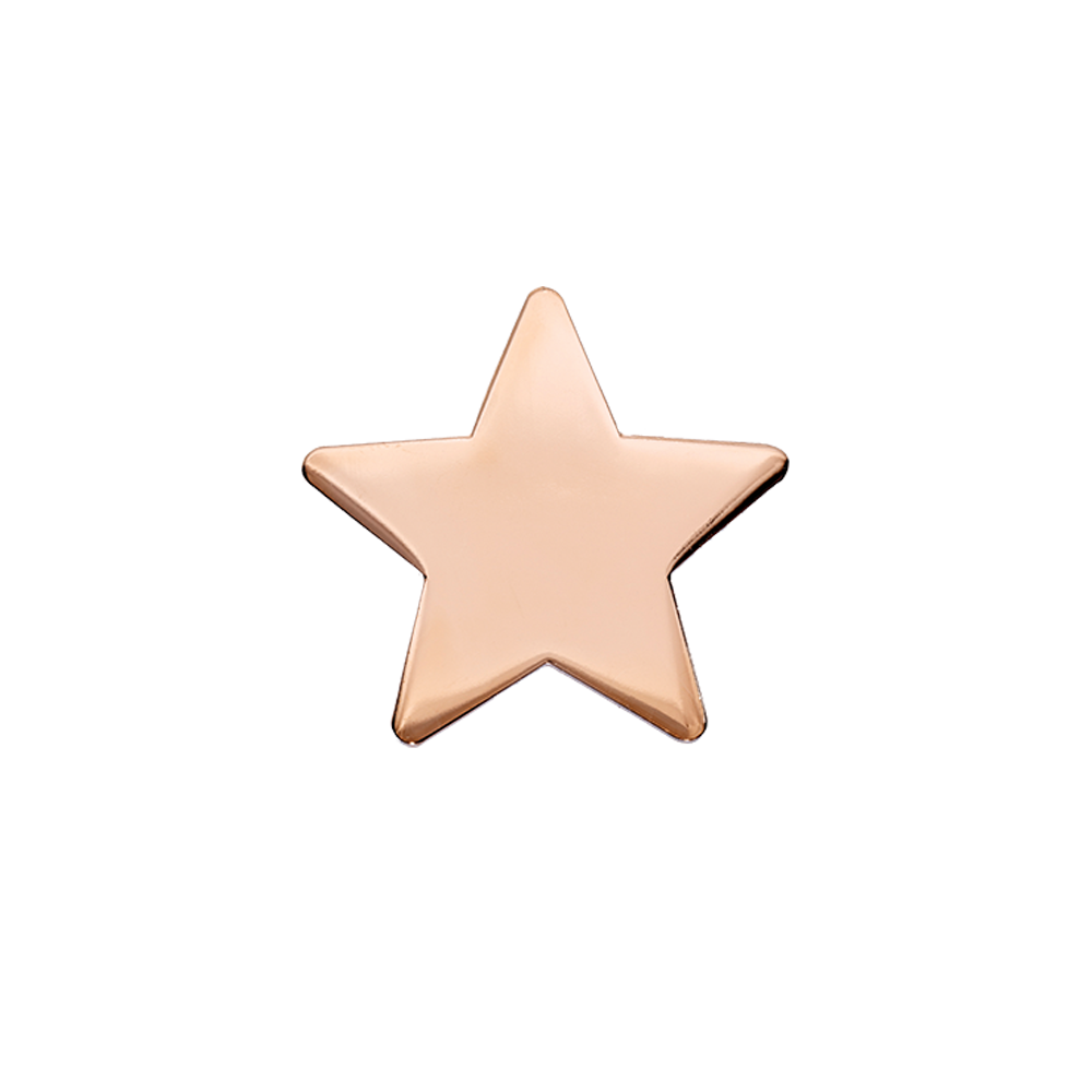 Bronze Polished Star badge (pack of 5)