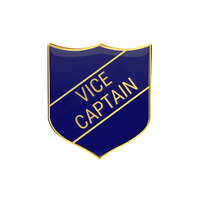 VICE CAPTAIN badge blue (pack of 5)