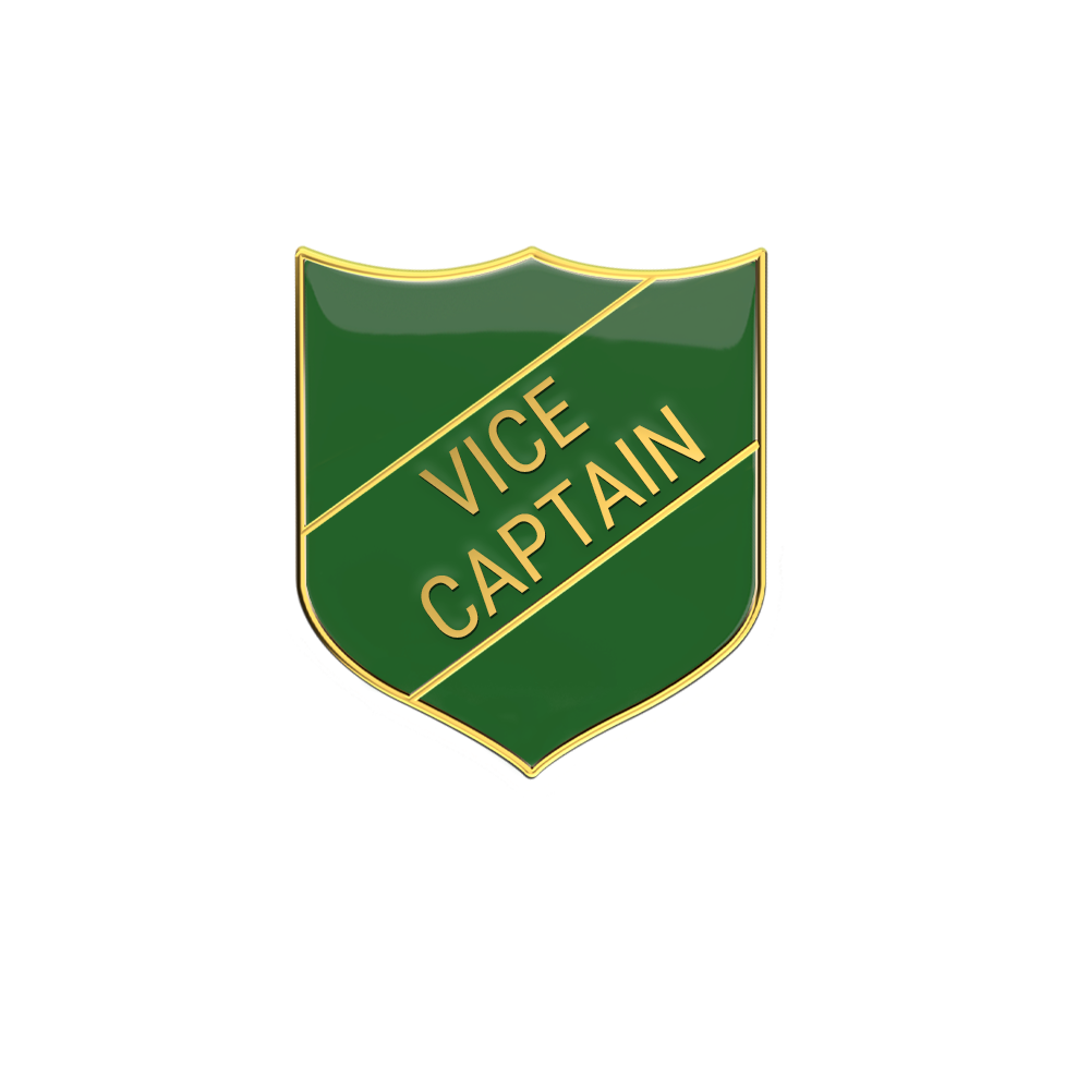 Vice Captain Enamel Badge Green (Pack of 5)