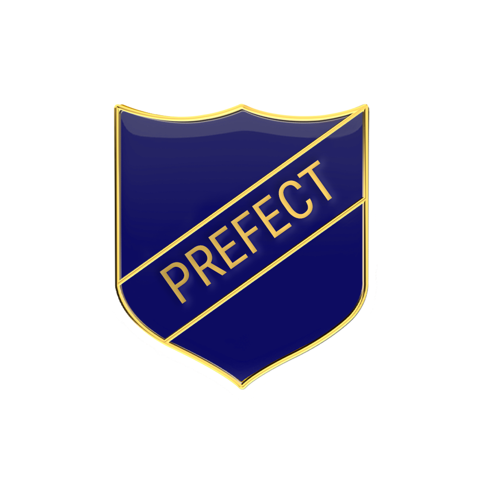 PREFECT badge blue (pack of 5)