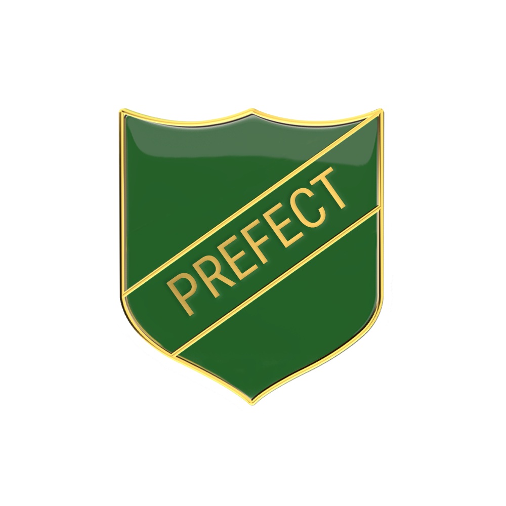 PREFECT badge green (pack of 5)