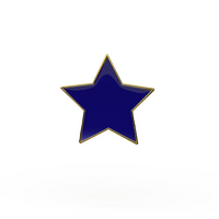 Blue Star  badge (pack of 5)