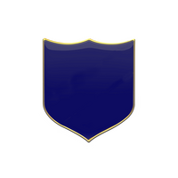 Blue Plain badge (pack of 5)