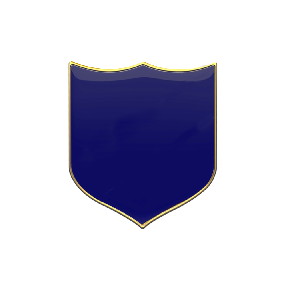 Blue Plain badge (pack of 5)