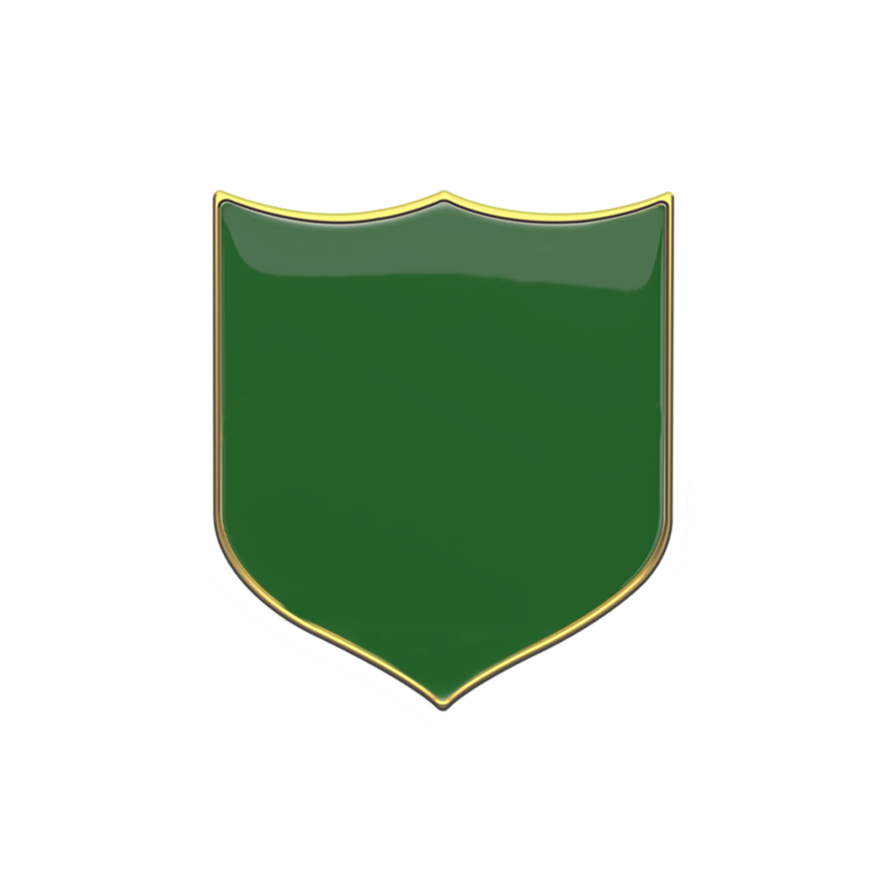 Green Plain badge (pack of 5)