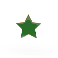 Green Star  badge (pack of 5)