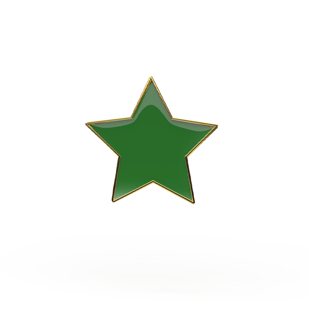 Green Star  badge (pack of 5)