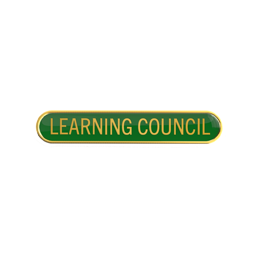 LEARNING COUNCIL badge green (pack of 5)