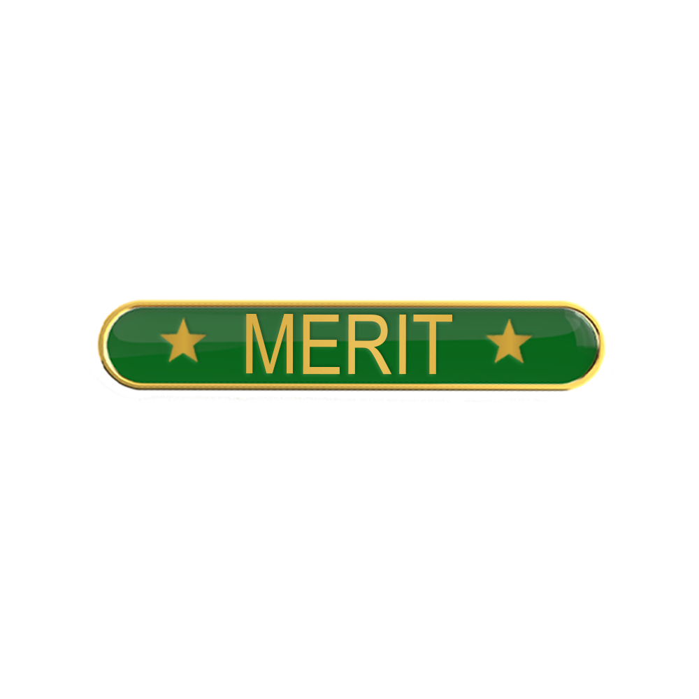 MERIT bar badge green (pack of 5)