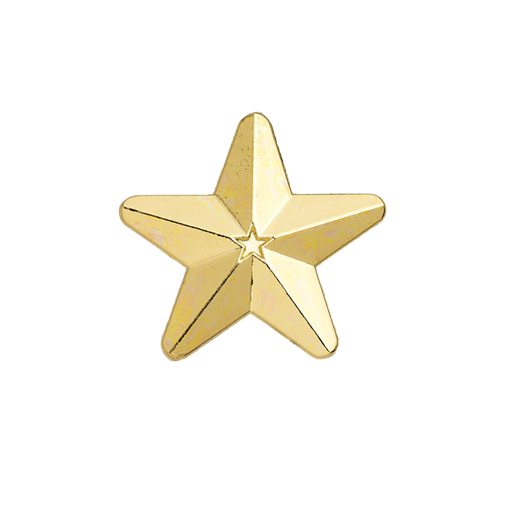 Gold 3D Star badge (pack of 5)