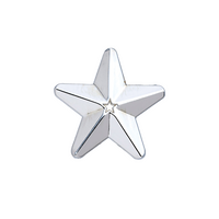 Silver 3D Star Badge (pack of 5)