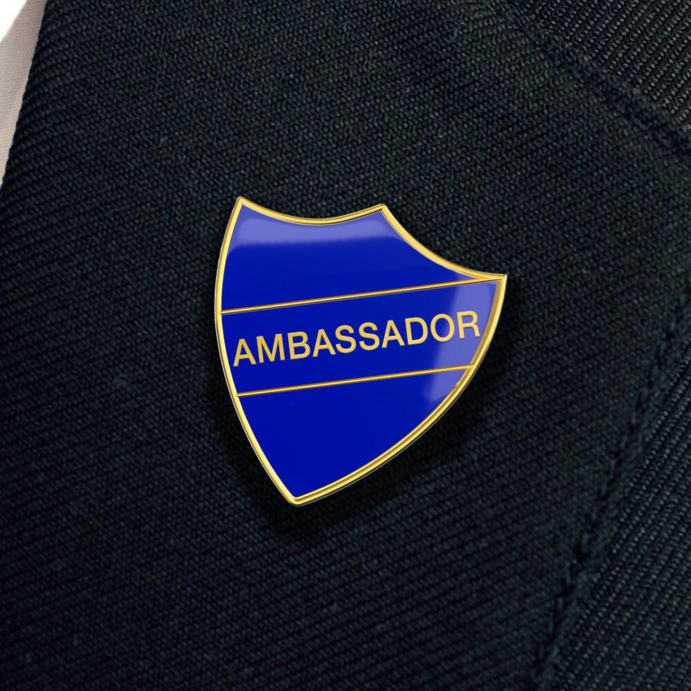 AMBASSADOR blue and gold badge (pack of 5) - Image 2