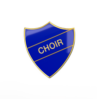 CHOIR blue and gold badge (pack of 5)
