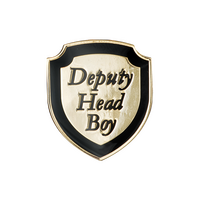 Deputy Head boy Enamel Badge (pack of 5)
