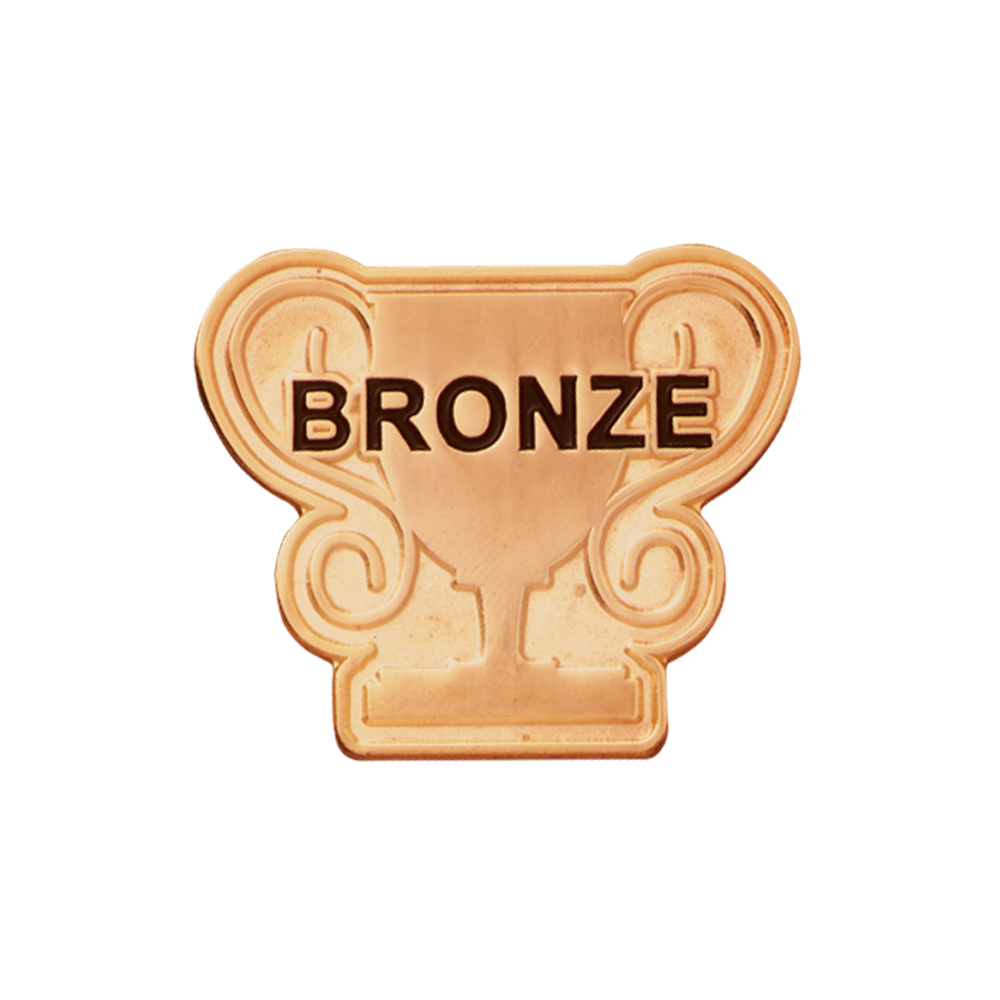 Bronze Trophy badge (pack of 5)