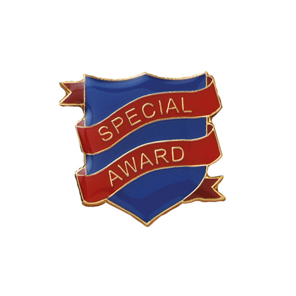 Special Award badge (pack of 5)