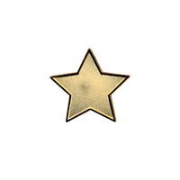 Gold Star badge (pack of 5)