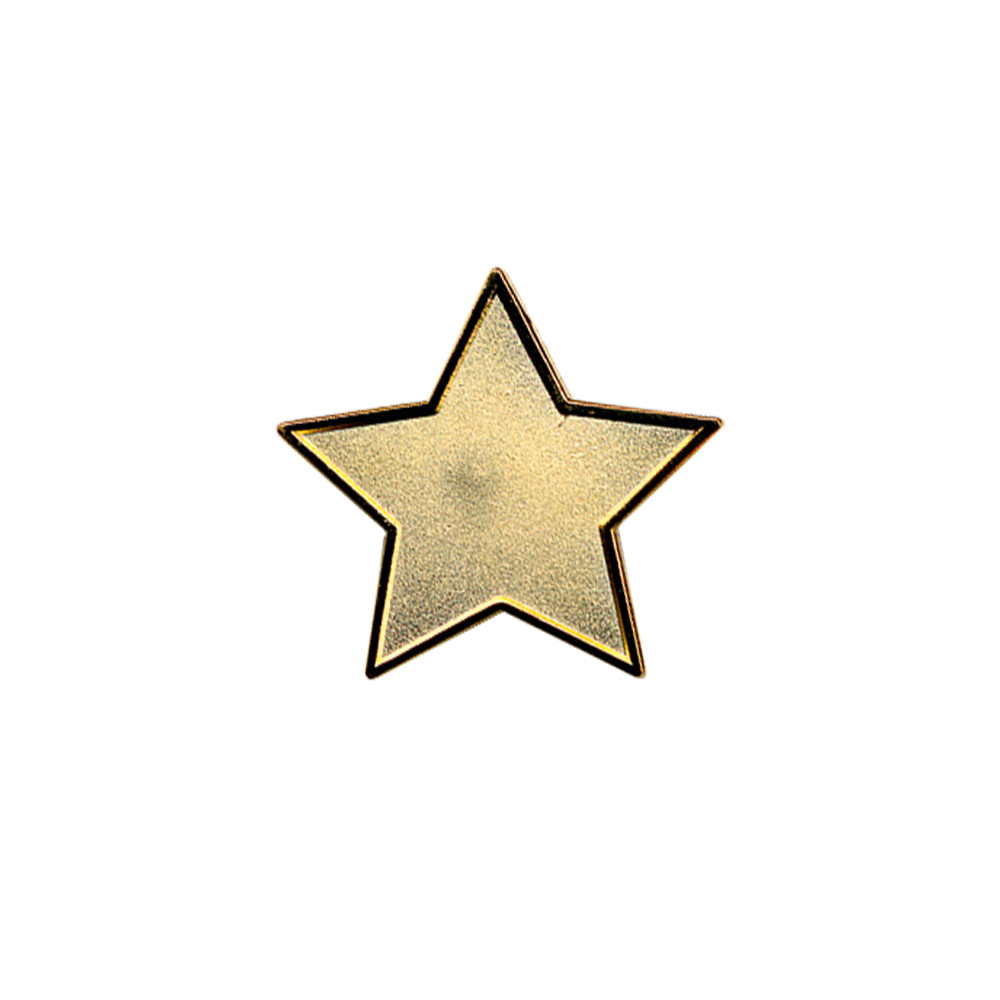 Gold Star badge (pack of 5)
