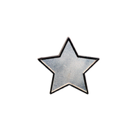 Silver Star badge (pack of 5)