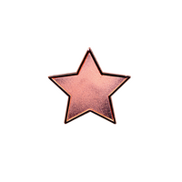 Bronze Star badge (pack of 5)