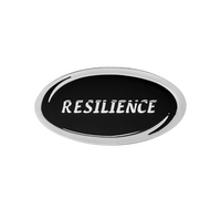 Resilience 'Values' enamel badge