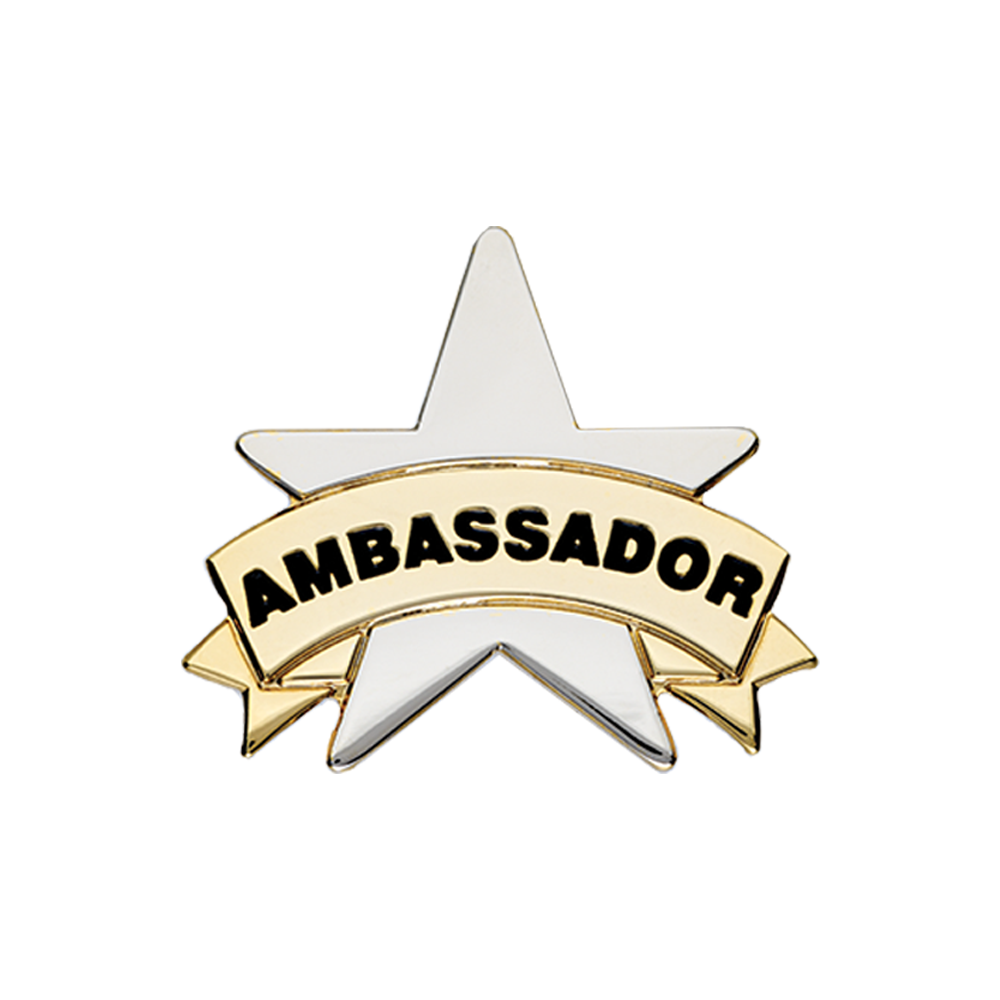 AMBASSADOR Star badge (pack of 5)