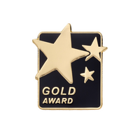 Gold Award Enamel badge Big Box