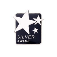 Silver Award Enamel badge Big Box