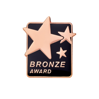 Bronze Award Enamel badge Big Box
