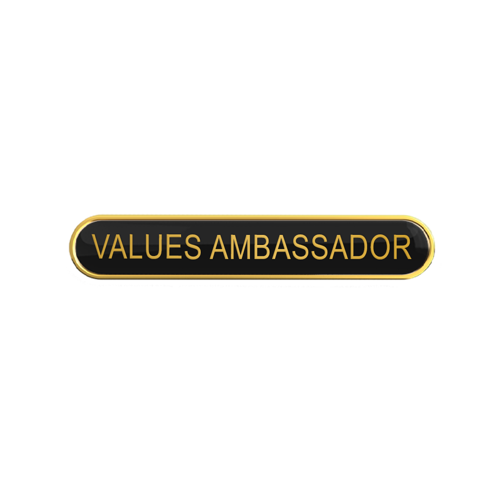 VALUES AMBASSADOR Badges (pack of 5)
