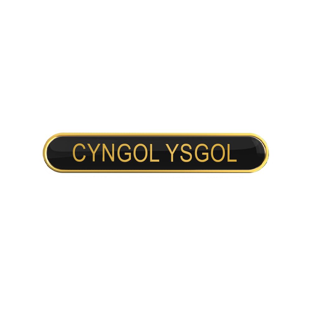 CYNGOL YSGOL