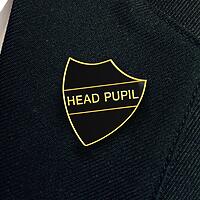 HEAD PUPIL shield badge (pack of 5)